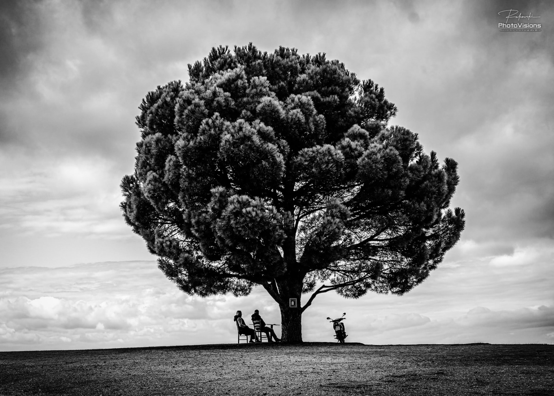 Two people seated beneath a lone tree in the Cretan countryside